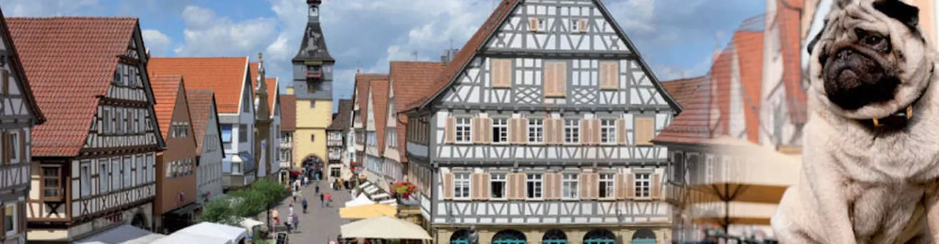 Stadtverwaltung Winnenden cover