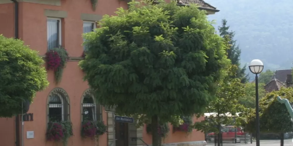 Gemeinde Plüderhausen